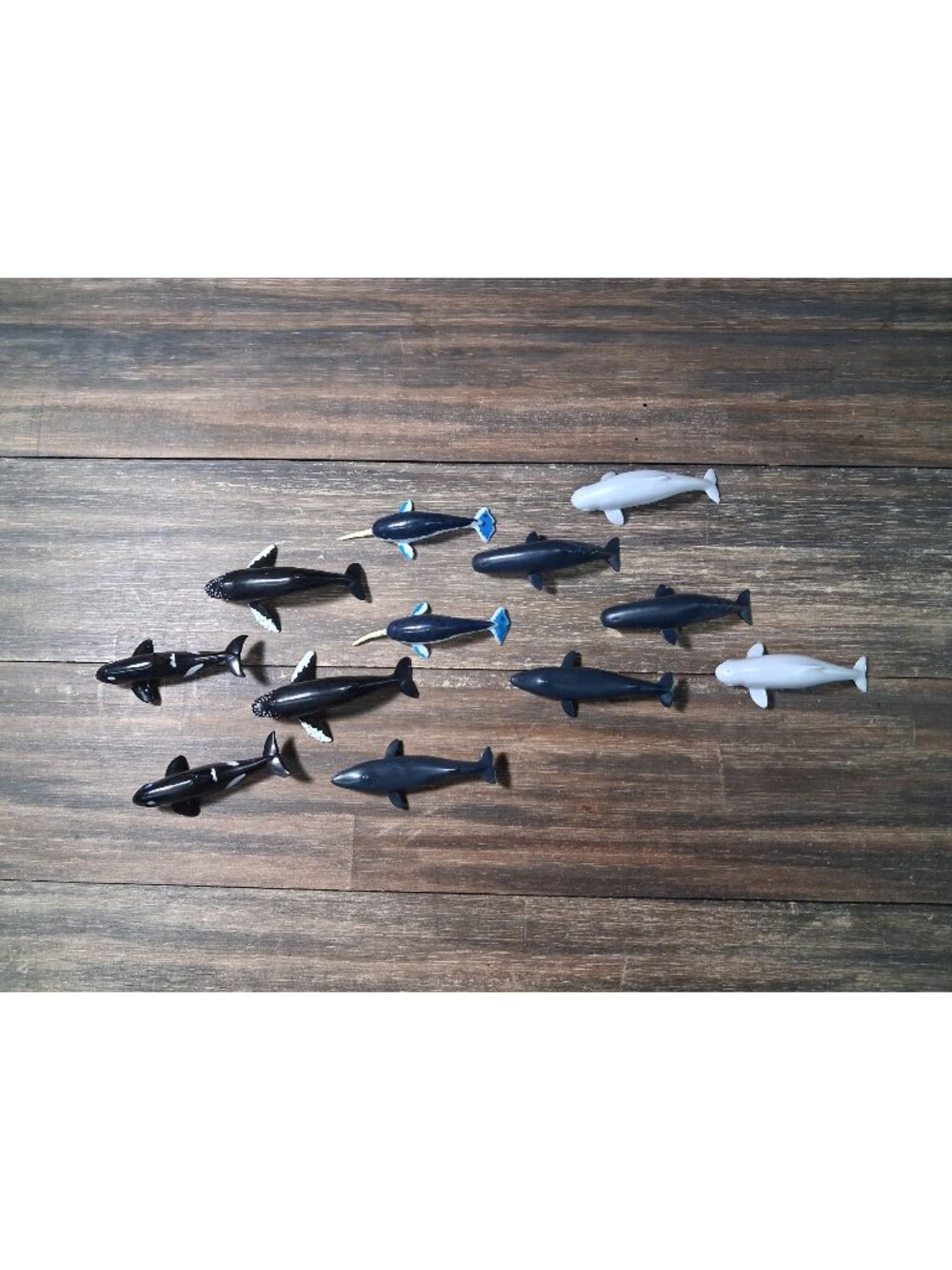 Seaworld Whale Figure Lot Orca Blue Humpback Beluga Sperm Narwhal Plastic